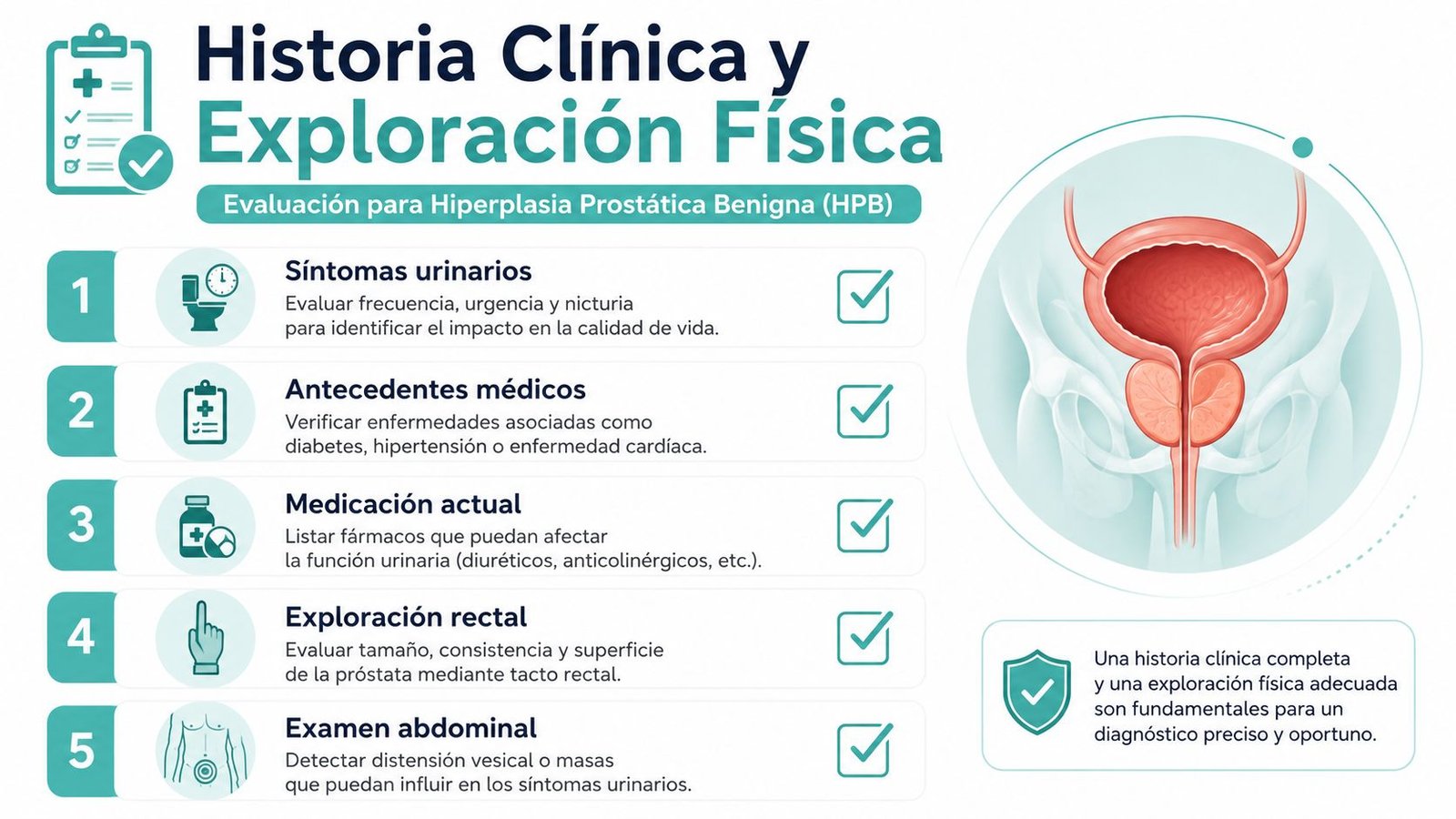 Infografía médica que detalla los pasos para el diagnóstico clínico de la hiperplasia prostática benigna en hombres.