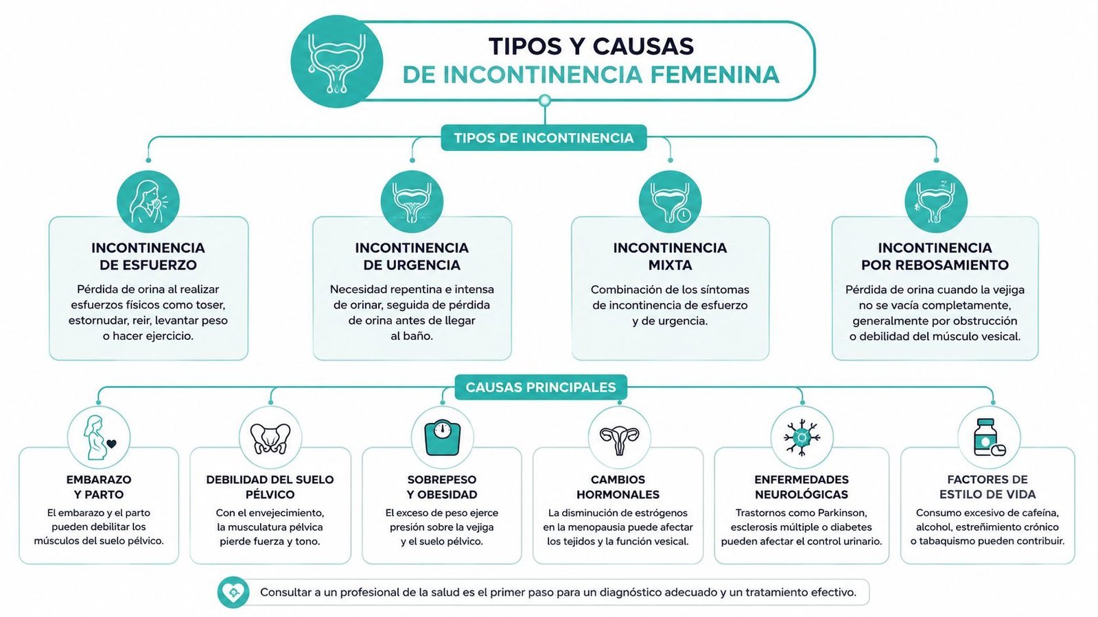 Infografía sobre tipos y causas de la incontinencia urinaria en mujeres, detallando sus diversos orígenes y síntomas.