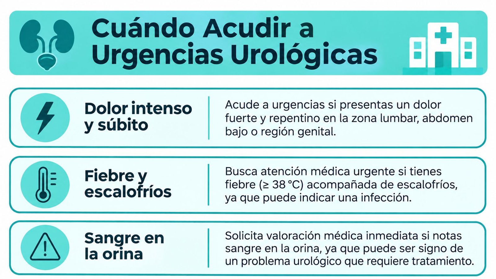 Infografía sobre cuándo acudir a urgencias urológicas ante dolor, fiebre o presencia de sangre en la orina.