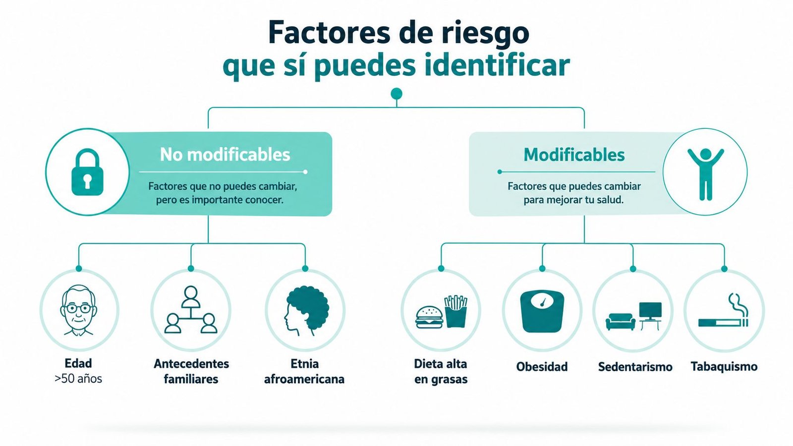 Infografía sobre factores de riesgo para la salud divididos en factores no modificables y factores modificables.