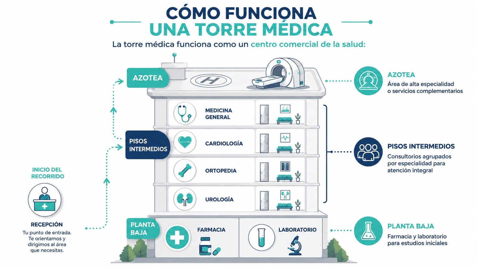 Infografía que explica el funcionamiento de una torre médica, detallando las funciones de recepción, consultorios y servicios.