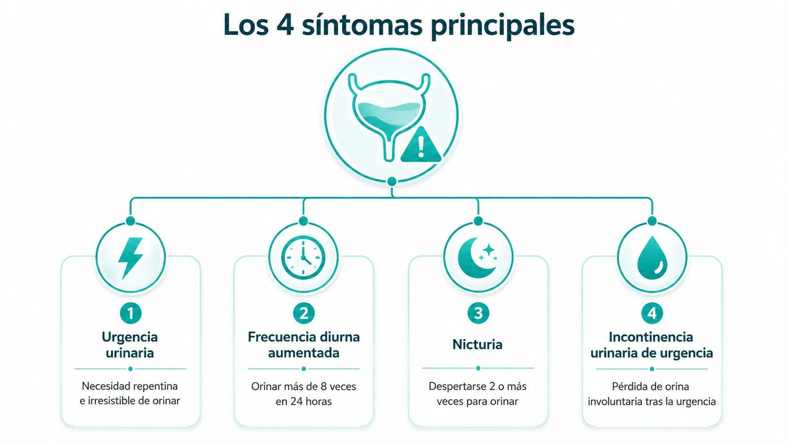 Diagrama educativo sobre los cuatro síntomas principales de la vejiga hiperactiva: urgencia, frecuencia, nicturia e incontinencia.