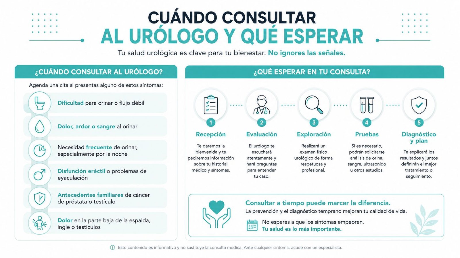 Infografía sobre cuándo consultar a un urólogo y qué esperar durante una visita médica profesional.