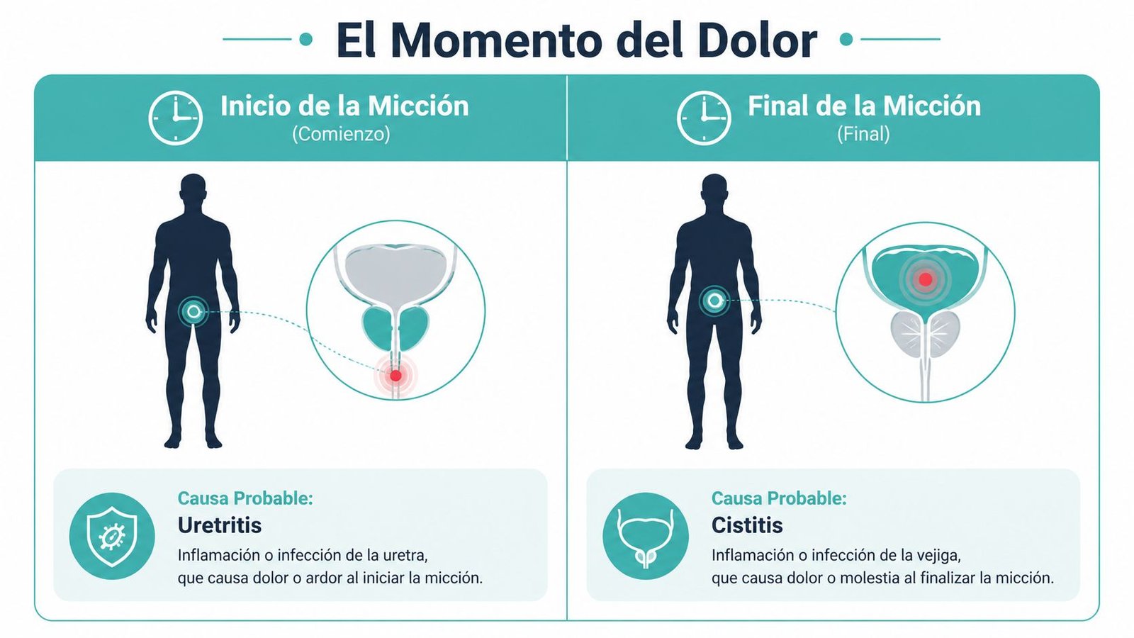Infografía que muestra la diferencia entre uretritis y cistitis según el momento del dolor al orinar.