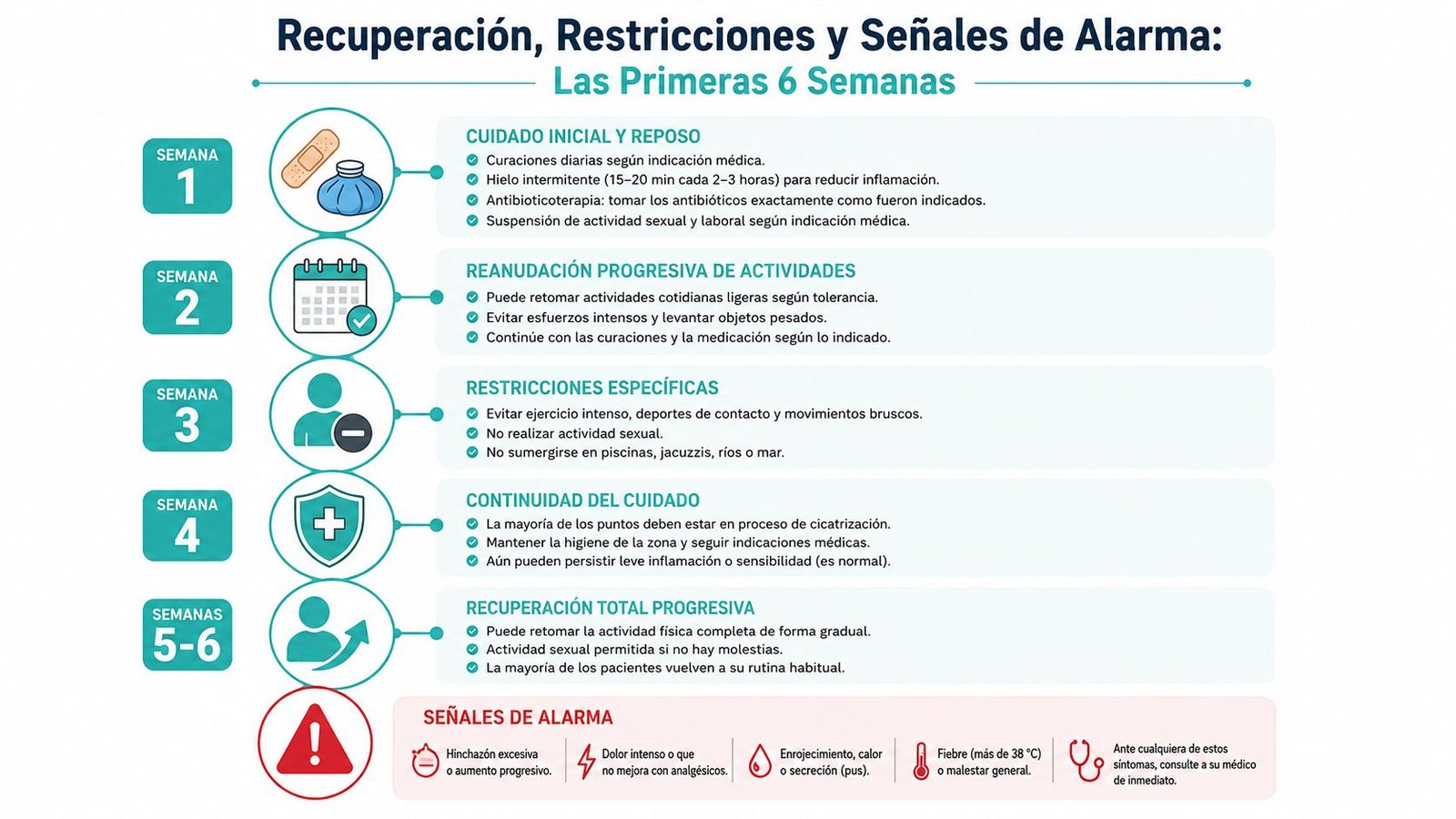 Infografía sobre el proceso de recuperación, restricciones y señales de alarma tras una operación quirúrgica del pene.