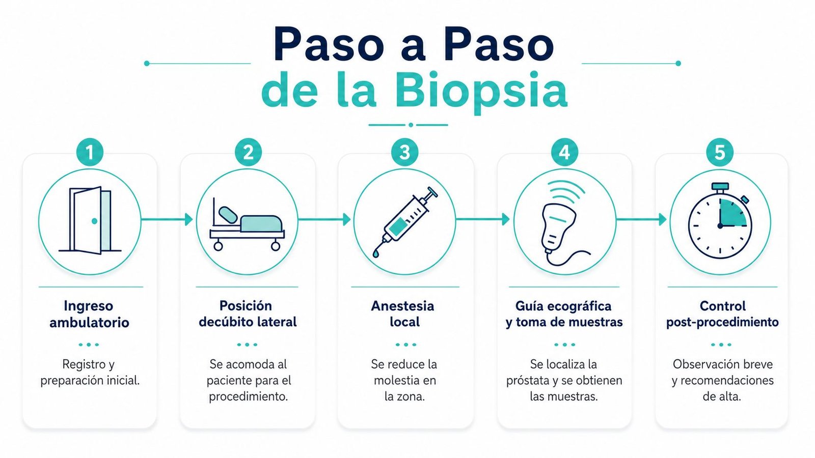 Infografía que explica los cinco pasos del procedimiento de biopsia de próstata de forma sencilla y clara.