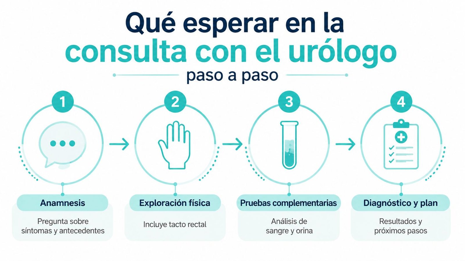 Infografía paso a paso sobre qué esperar durante una consulta médica con el urólogo especializado.
