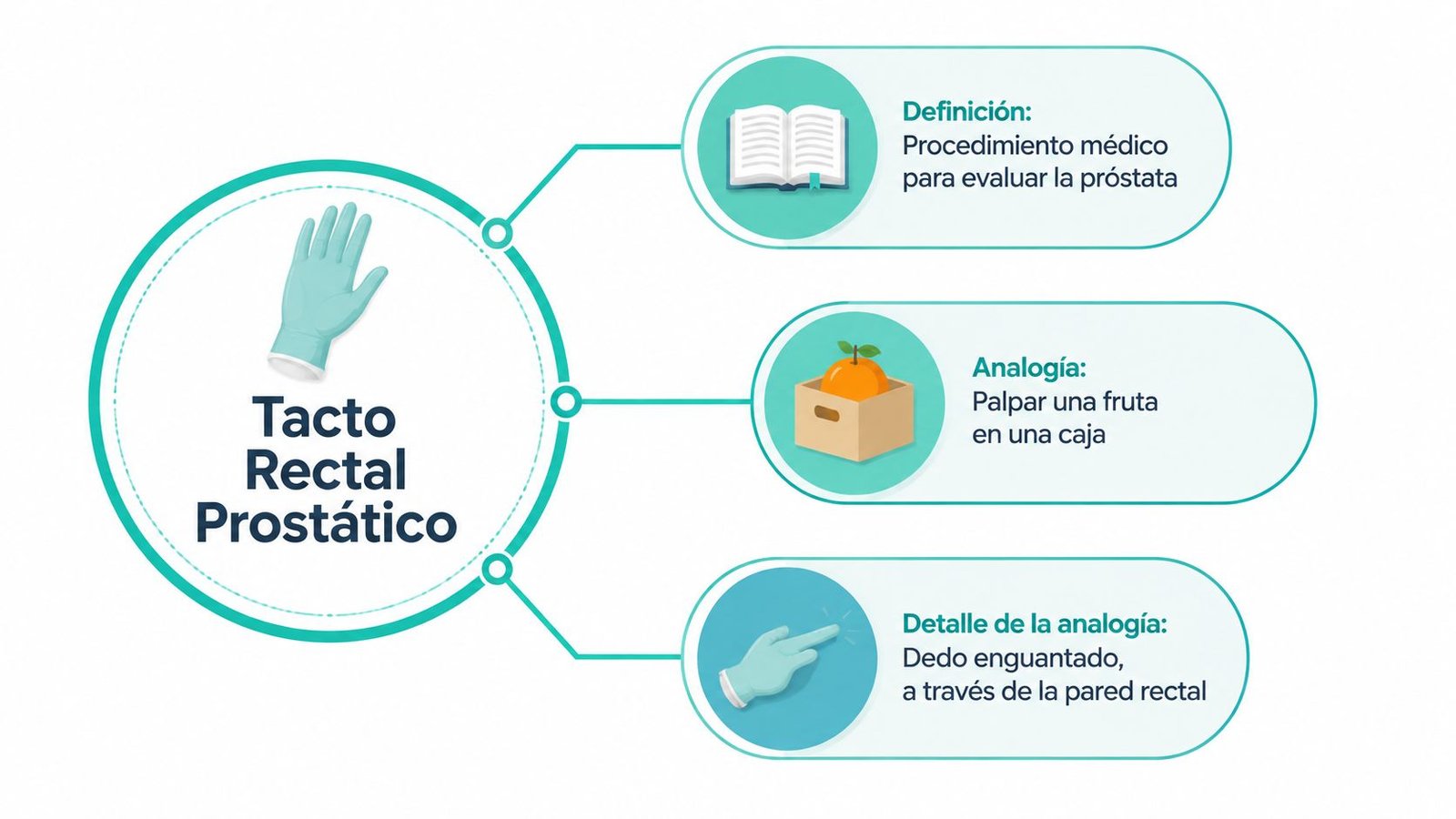 Infografía sobre el tacto rectal prostático explicando su definición, una analogía sencilla y el detalle del procedimiento.