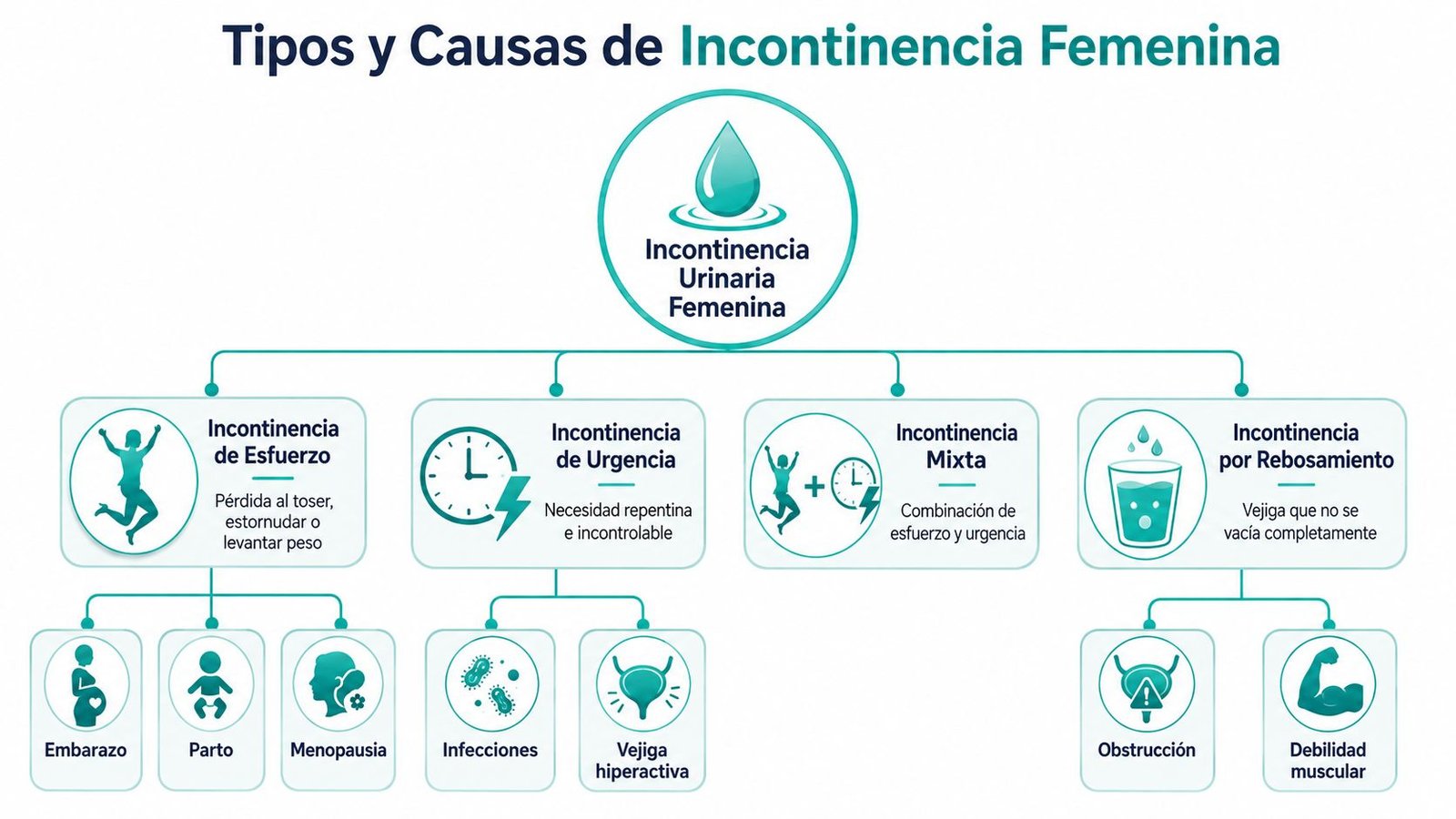 Diagrama detallado sobre los tipos y causas de la incontinencia urinaria en las mujeres de forma ilustrada.