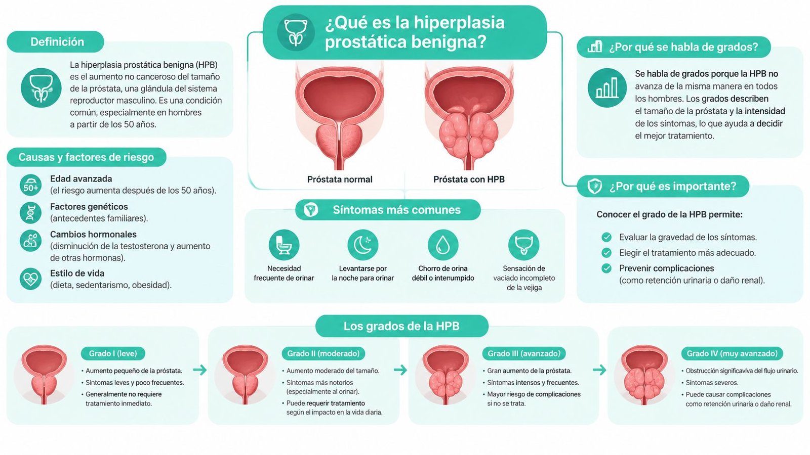 Infografía sobre la hiperplasia prostática benigna, explicando sus causas, síntomas comunes y los diferentes grados clínicos.