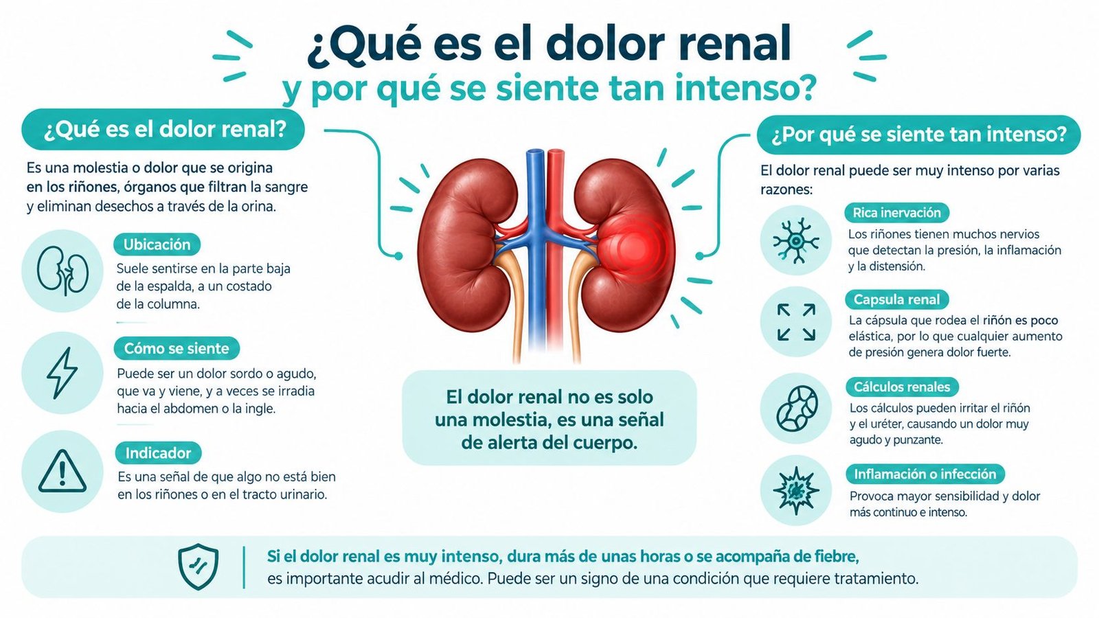 Infografía sobre el dolor renal, explicando sus causas, características, ubicación y cuándo consultar al médico por urgencia.