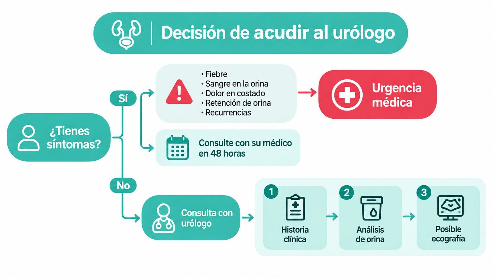 Diagrama de flujo informativo sobre la decisión de acudir al urólogo según los síntomas presentados por el paciente.